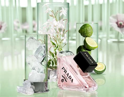 vaso fiori prada|prada paradoxe virtual floral perfume.